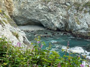 Big Sur - Partington Cove